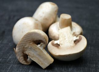 Descubrí las bondades de consumir hongos y las calorías que aportan