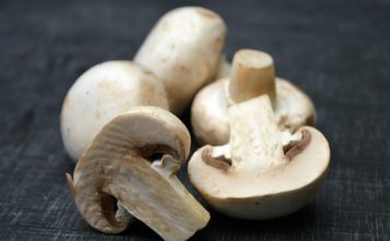 Descubrí las bondades de consumir hongos y las calorías que aportan
