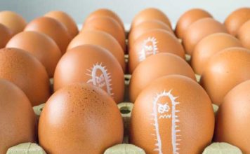 Sepa cómo prevenir la contaminación por salmonella