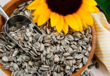 Conozca las bondades de consumir semillas de girasol