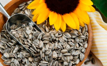 Conozca las bondades de consumir semillas de girasol