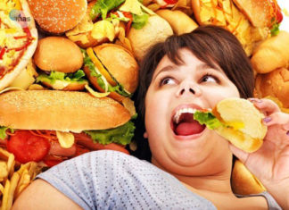 Sepa por qué comer alimentos ricos en grasas conduce a comer más