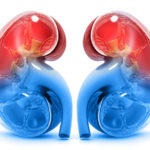 Cómo funcionan los riñones y cuáles son las señales de alerta y las claves para cuidarlos