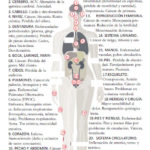 raidiografia-del-problema
