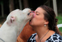 El showroom solidario de Reneé Cormillot para perros y gatos