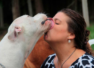 El showroom solidario de Reneé Cormillot para perros y gatos