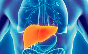 Conocé las diferencias entre las hepatitis A, B, C y E, cómo prevenirlas y cuáles son sus tratamientos