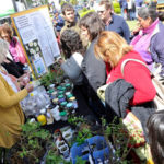 Se realizó en Tigre la Feria anual de Intercambio de Semillas y Plantines