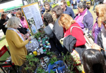 Se realizó en Tigre la Feria anual de Intercambio de Semillas y Plantines