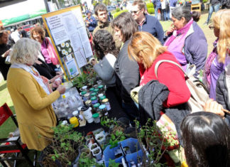 Se realizó en Tigre la Feria anual de Intercambio de Semillas y Plantines