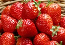 Torre de frutillas con salsa de frutos rojos y 100 calorías por porción
