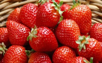 Torre de frutillas con salsa de frutos rojos y 100 calorías por porción