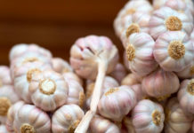 Conocé las asombrosas propiedades del ajo