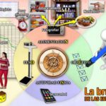 La brújula de las evidencias, la mejor herramienta para alcanzar un peso saludable