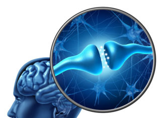Cerebro: descubrí el poder de la neuroplasticidad