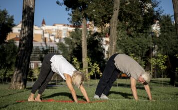 Asanas: por qué son el corazón de la práctica de yoga