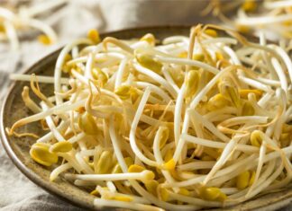 Ensalada de brotes de soja, rúcula, manzana, semillas, mayonesa y queso con 75 calorías