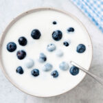 yogur-arandanos-drcormillot
