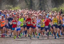 Descubren una relación entre los probióticos y la actividad deportiva