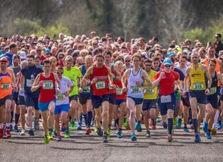 Descubren una relación entre los probióticos y la actividad deportiva