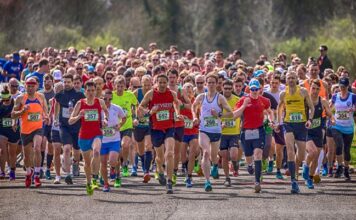 Descubren una relación entre los probióticos y la actividad deportiva