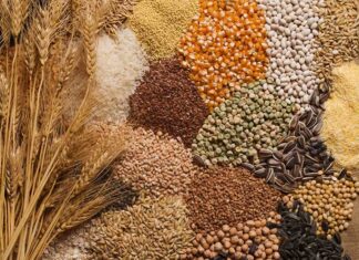 Mejorá tu salud y controlá tu peso con la «Pirámide de cereales, pseudocereales y legumbres»