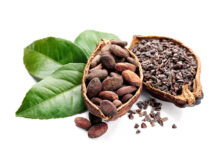 Descubrí las bondades del chocolate, el alimento de los dioses