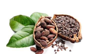 Descubrí las bondades del chocolate, el alimento de los dioses