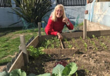 Avanza con éxito en Tigre el programa Huertas con experiencia para adultos mayores