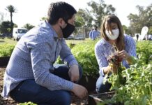 La Huerta Demostrativa de Malvinas Argentinas levanta sus primeras cosechas