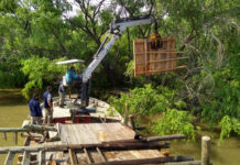 Tigre realiza inspecciones para proteger el área más frágil del humedal del Delta y desmantela muelles ilegales