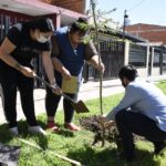 Plantando jacarandás comenzó su plan maestro de arbolado Malvinas Argentinas