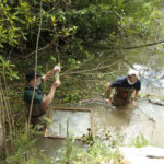 Realizan relevamientos de biodiversidad en el Centro de Interpretación de Humedales que Tigre estableció en el Delta