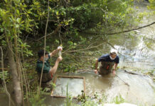 Realizan relevamientos de biodiversidad en el Centro de Interpretación de Humedales que Tigre estableció en el Delta