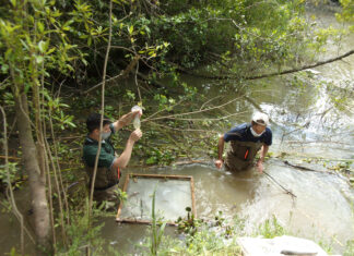 Realizan relevamientos de biodiversidad en el Centro de Interpretación de Humedales que Tigre estableció en el Delta