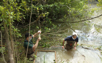 Realizan relevamientos de biodiversidad en el Centro de Interpretación de Humedales que Tigre estableció en el Delta