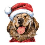14 claves para cuidar a nuestras mascotas en Año Nuevo