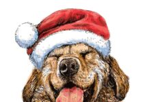 14 claves para cuidar a nuestras mascotas en Año Nuevo