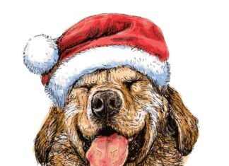 14 claves para cuidar a nuestras mascotas en Año Nuevo