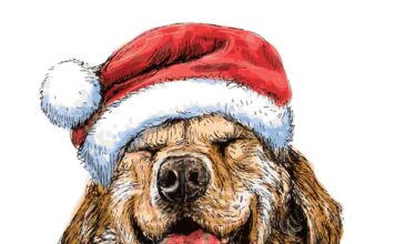 14 claves para cuidar a nuestras mascotas en Año Nuevo