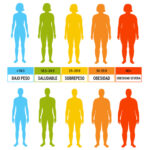 El doctor Cormillot explica todo sobre el IMC (Índice de Masa Corporal). ¡Calculá aquí el tuyo!