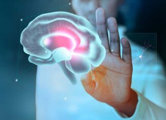 Epilepsia: 7 de cada 10 pacientes con el tratamiento adecuado logra controlar la enfermedad