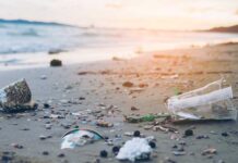 ¿Cómo afectan los microplásticos a nuestra salud?
