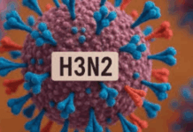 Avanza la supergripe H3N2 en el país y aceleran un plan para frenarla a tiempo