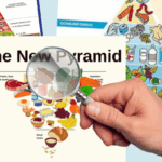 Guías Alimentarias – Impacto en la dieta y la salud