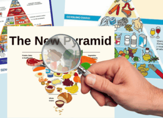 Guías Alimentarias – Impacto en la dieta y la salud