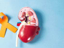 Cáncer renal: una enfermedad que muchas veces se descubre por casualidad