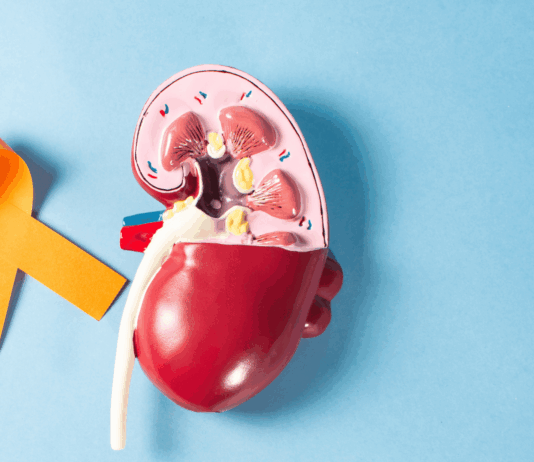 Cáncer renal: una enfermedad que muchas veces se descubre por casualidad